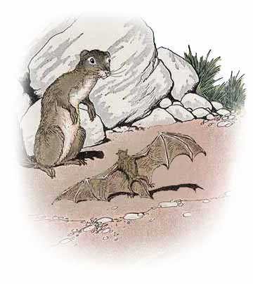 The Bat and The Weasels