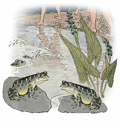The Boys and The Frogs