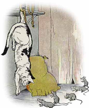 The Cat and The Mice