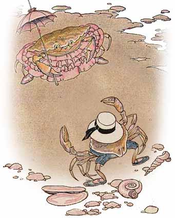 The Crab and His Mother