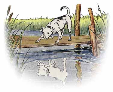 The Dog and His Reflection