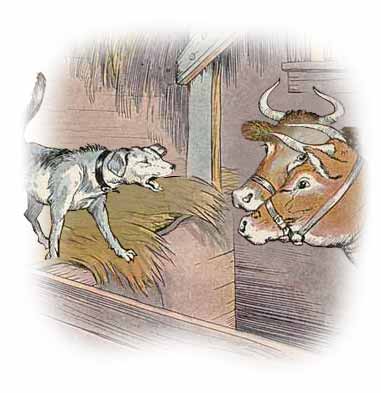 The Dog in The Manger