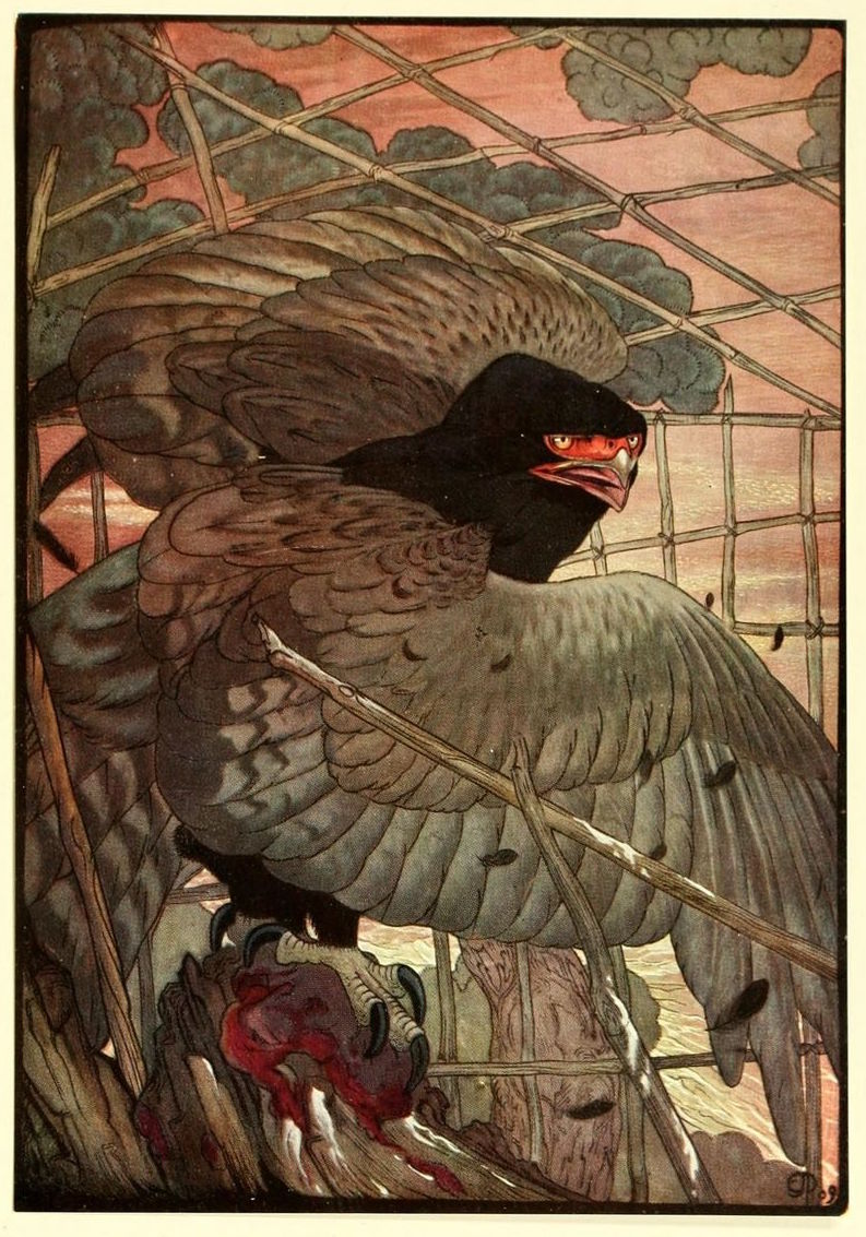 The Eagle and His Captor