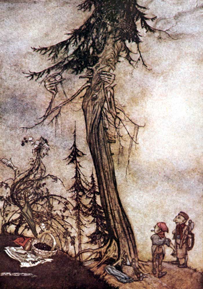 The Fir Tree and The Bramble