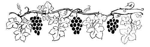 The Grapes