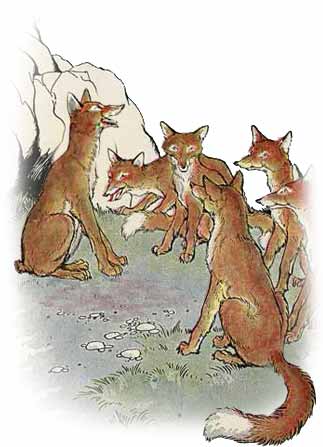 The Fox Without a Tail