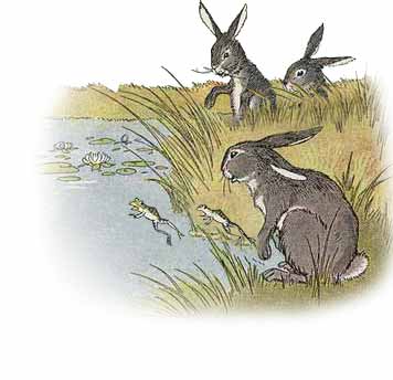 The Hares and The Frogs