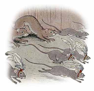The Mice and The Weasels