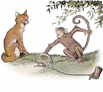 The Monkey as King