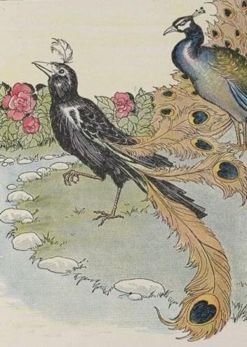 The Vain Jackdaw