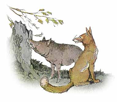 The Wild Boar and The Fox