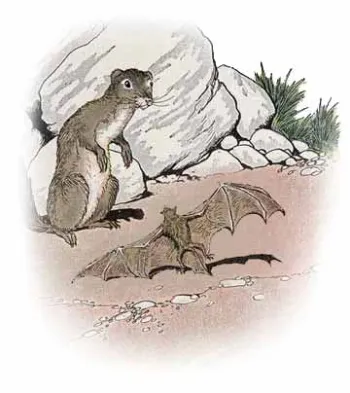 The Bat and The Weasels