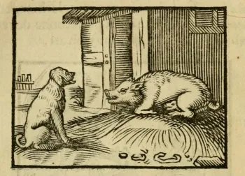 The Dog and The Sow