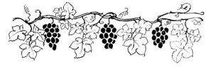 The Grapes