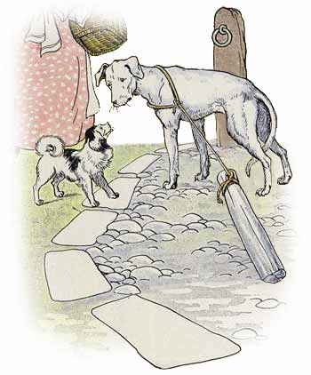 The Mischievous Dog