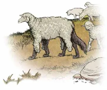 The Wolf in Sheep's Clothing